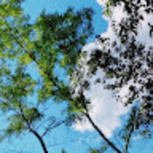 Meet your Posher, Madelyn